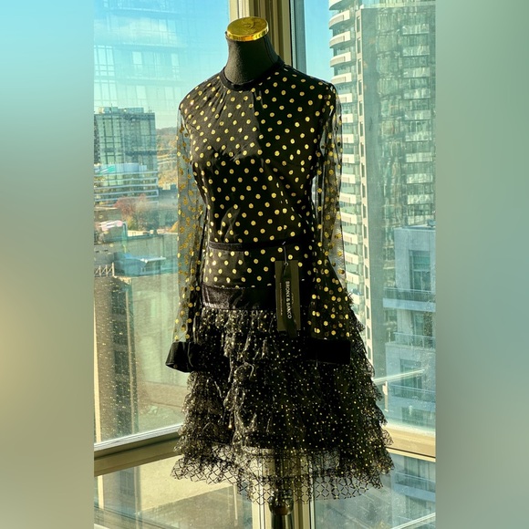 🆕 BRONX & BANCO 🧿 NWT Suns Mesh & Velvet Fit & Flare Mini Dress - Sz L - US 8 - Picture 4 of 16